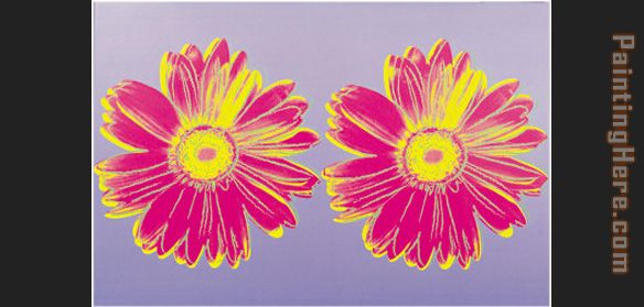 Daisy Double Pink